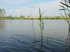 Karavanų aikštelė Camping Rafael, atostogos Leboje prie Baltijos jūros 04